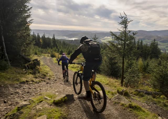 New focus...on cycling during the pandemic could be lucrative for our tourism market. Here, cyclists enjoy the paths in Glentress Forest
. (Pic: David N Anderson)
