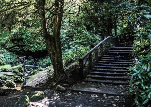 The Glens Walk, Rouken Glen, is one of the five walking routes.