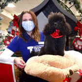 Grace Higgins of TCT with Freddie, the star of Dobbies festive ad campaign