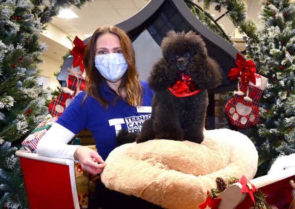 Grace Higgins of TCT with Freddie, the star of Dobbies festive ad campaign