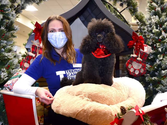 Grace Higgins of TCT with Freddie, the star of Dobbies festive ad campaign