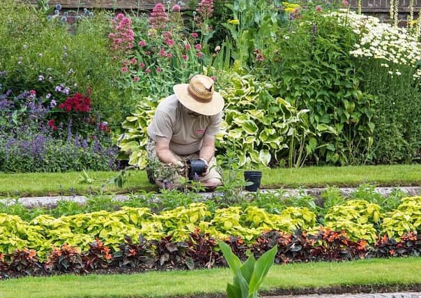 The Incorporation of Gardeners of Glasgow is seeking to find the city's best gardeners.