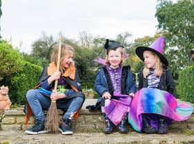 Borde Hill Garden, Haywards Heath, RH16 1XP
A Halloween Whodunnit Spooktacular is going to be held at Borde Hill Garden, 16th - 31st October  2021
This Halloween half term, bring your family to a spooktacular costume party at Foolish Mortal Mansion. Young witches and wizards can explore the garden on a daily story trail, helping Detective Snoop discover what happened to Sir Dangerous Powers, the owner of Foolish Mortal Mansion, and whodunnit!
The adventure playground, cafe and nature walks will remain open to visitors.
£3.00 per trail plus admission, to include a prize (FREE to Members).
All Garden entry and trails must be pre-booked in advance at: www.bordehill.co.uk/bookyourvisit