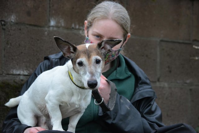 Male - Jack Russell Terrier - aged 8 and over. Arthur is an independent, older gent who needs space to relax. He must be the only pet in the home and needs hands-off owners.