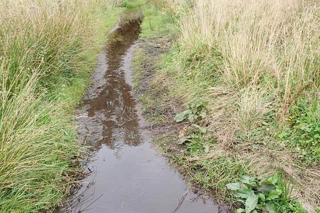 The pathways around Broadwood Loch are prone to flooding