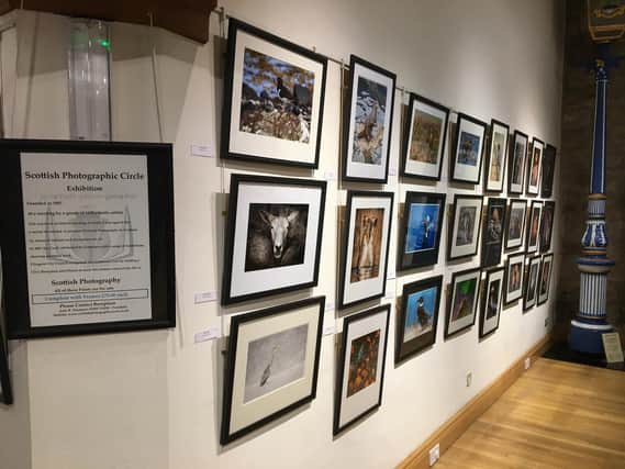 Work of some of the country's finest amateur photographers are on display at the Auld Kirk Museum at Kirkintilloch