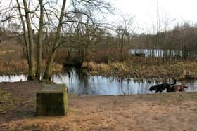 Kilmardinny Loch