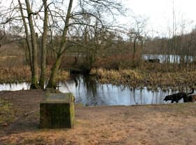 Kilmardinny Loch