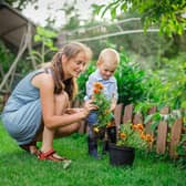 Green-fingered people burn a lot of calories taking care of their garden. For example, planting fruit and vegetable seeds or plants for 20 minutes burns 105 calories