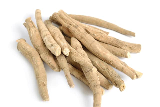 Ashwagandha, Indian ginseng, poison gooseberry or winter cherry (photo: Adobe)