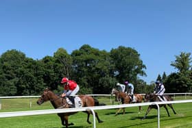 The hot and dry summer made it a great year at Hamilton Park Racecourse