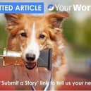 User (UGC) Submitted