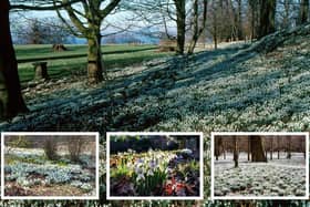 Events are being staged all over Scotland as part of the festival, including Stables House at Cleghorn Farm which will be opening its gates on Sunday, March 6.
