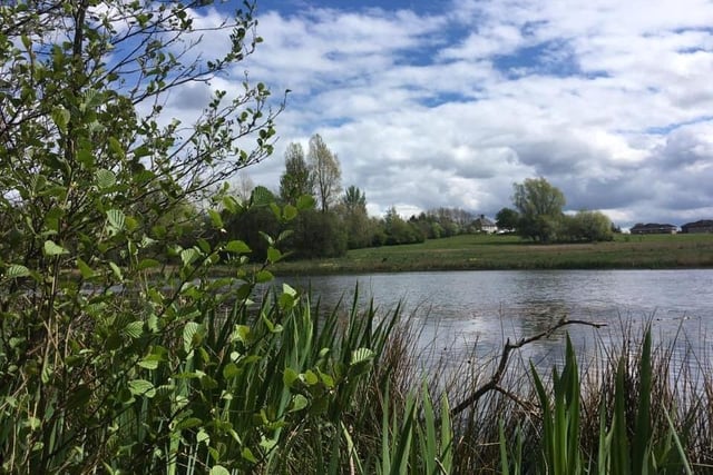If you're lucky, it's possible to catch a glimpse of deer in the sprawling grounds of Robroyston Park.
