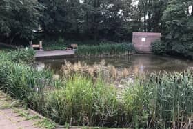 The last element of the pond’s refurbishment will be completed in the autumn with the installation of a new larger and permanent nesting island.