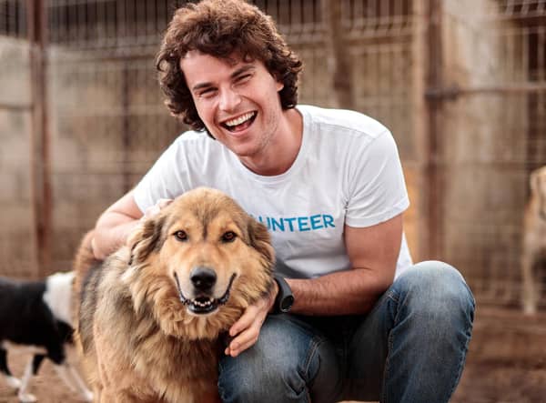 Why not make your New Year resolution to help out as an animal charity volunteer (photo: Adobe)
