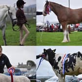 The 161st Carnwath Show will be back this Saturday for the first time since 2019.