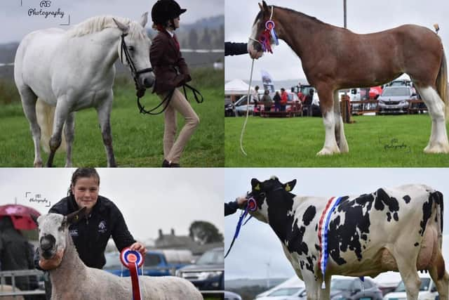 The 161st Carnwath Show will be back this Saturday for the first time since 2019.