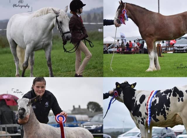 The 161st Carnwath Show will be back this Saturday for the first time since 2019.