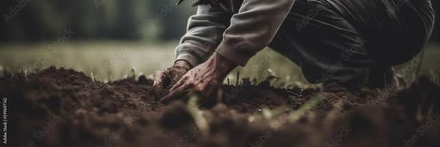 Prepare your soil