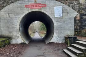 Work on part of the Strathkelvin Railway Path will address damage caused by tree roots