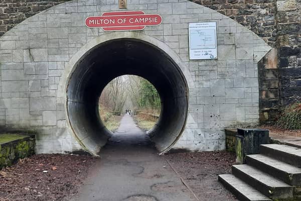 Work on part of the Strathkelvin Railway Path will address damage caused by tree roots