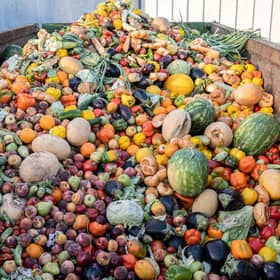 Food waste in the UK is a huge issue. Photo: Adobe