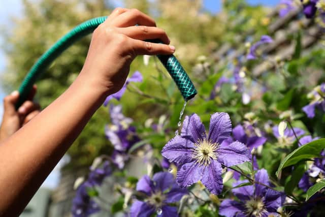 Flowers being watered from a garden hose. Environment secretary George Eustice says all water companies should bring in a hosepipe ban Picture: Gareth Fuller/PA Wire