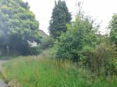 Whitelees