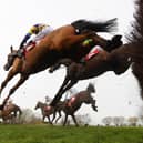 The Cheltenham Festival  is underway this week