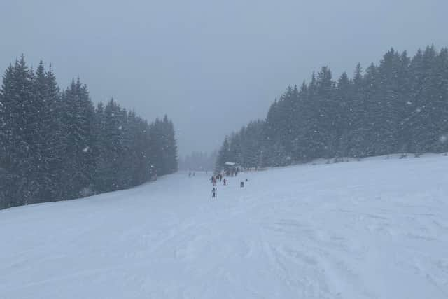 A snowy scene on the slopes. Image: Samantha Mo