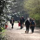 Hundred Acre Woods is popular with dog walkers
Picture: Sam Stephenson.