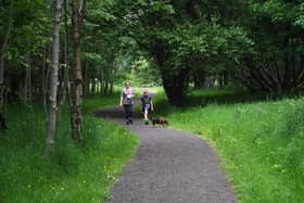 Here 120 acres of park and woodland surround a large shallow loch with a wooded island, where wintering water birds such as whooper swan and goldeneye duck make their home.