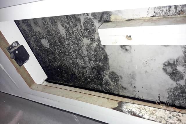 Pictures of mould growth at the Queen Elizabeth University Hospital in Glasgow.