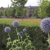 Help the RSPB log nature in Clydesdale by taking part in the challenge.