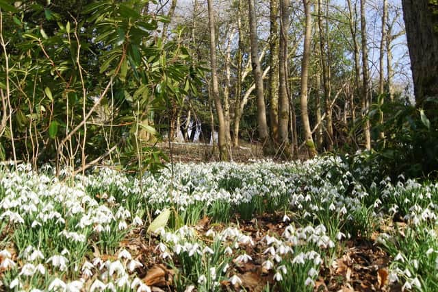 Cabin will be situated on the picturesque Cleghorn Farm estate.