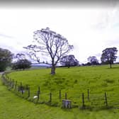 The proposed site pictured from Kersewell Avenue