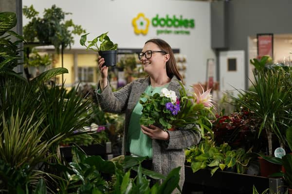 Houseplants is the focus for January’s Grow How sessions at Dobbies Garden Centres
