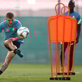 Celtic are closing in on midfielder Riley McGree.