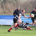 Rowan Stewart on his way to scoring Biggar's first try against Kelso (Pic by Nigel Pacey)