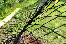 Hedgehog trapped as its spikes get caught in garden football net