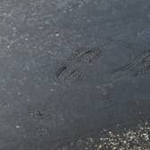 Footprints can be seen on a road near Empingham in Rutland, where tarmac has started to melt, as the UK encounters the hottest July day on record.
