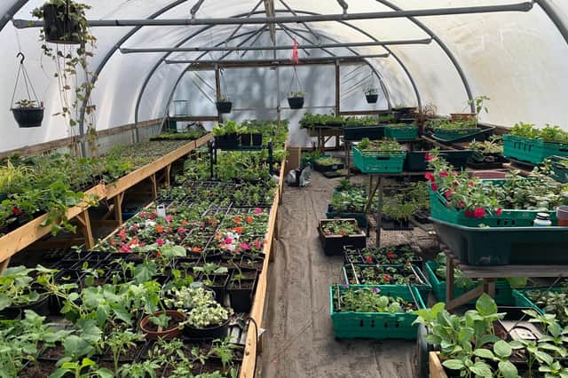 Castlebank volunteers have been busy preparing a host of spring plants, ready for sale this Saturday and Sunday.