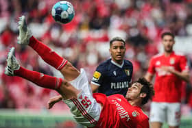 Benfica's Paulo Bernardo has been linked with a move to Celtic on loan.