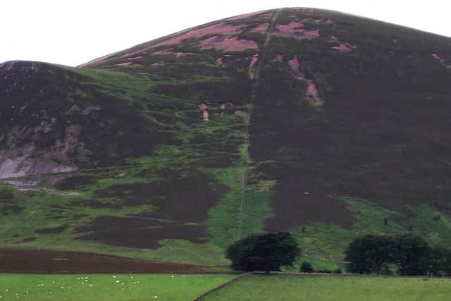 The charity event will take place at Tinto this weekend.
