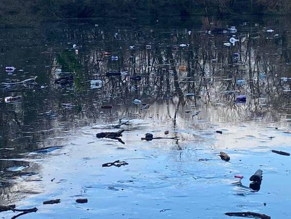 Milngavie Pond strewn with litter