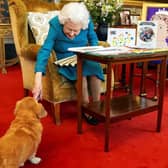 What will happen to the Queen's corgis? (photo: Getty Images)