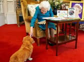 What will happen to the Queen's corgis? (photo: Getty Images)