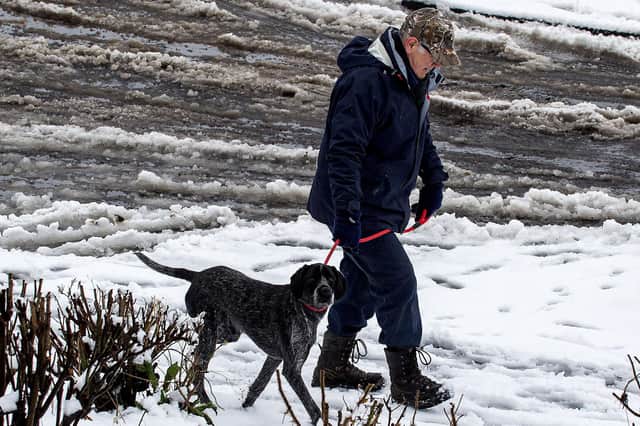 Geting out for a daily walk this winter is good for physical and mental health