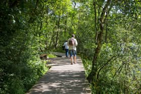 The Falls of Clyde Walkway is just one of many treasures on our doorstep.